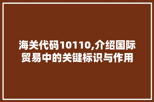 海关代码10110,介绍国际贸易中的关键标识与作用