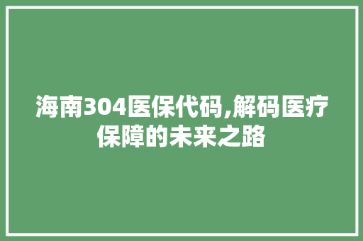 海南304医保代码,解码医疗保障的未来之路