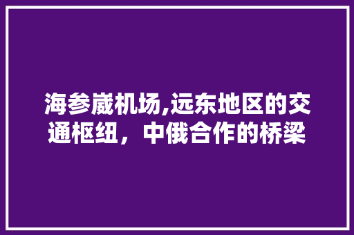 海参崴机场,远东地区的交通枢纽，中俄合作的桥梁