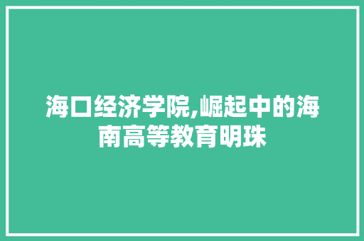 海口经济学院,崛起中的海南高等教育明珠