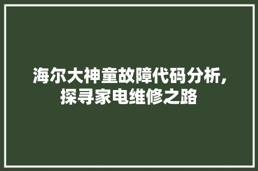 海尔大神童故障代码分析,探寻家电维修之路