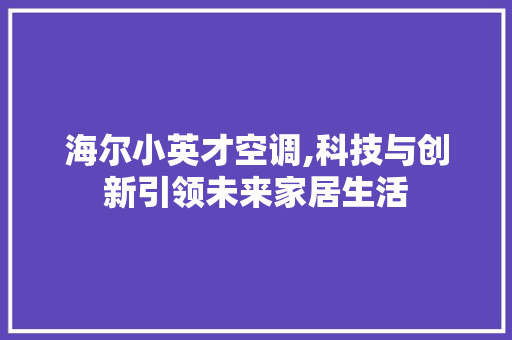 海尔小英才空调,科技与创新引领未来家居生活