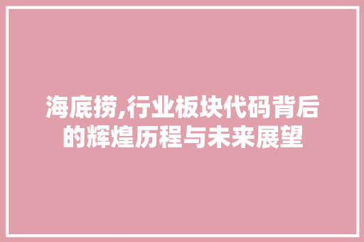 海底捞,行业板块代码背后的辉煌历程与未来展望