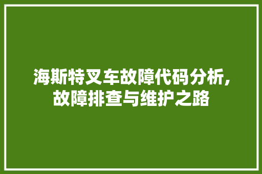 海斯特叉车故障代码分析,故障排查与维护之路