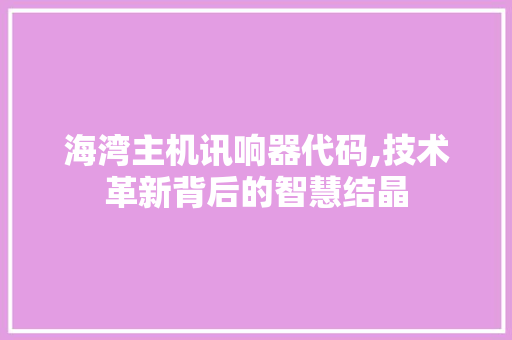 海湾主机讯响器代码,技术革新背后的智慧结晶