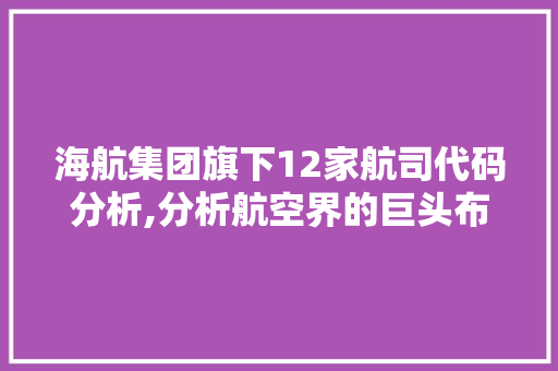 海航集团旗下12家航司代码分析,分析航空界的巨头布局