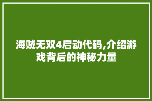 海贼无双4启动代码,介绍游戏背后的神秘力量