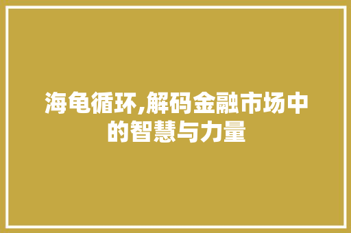 海龟循环,解码金融市场中的智慧与力量