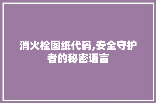 消火栓图纸代码,安全守护者的秘密语言