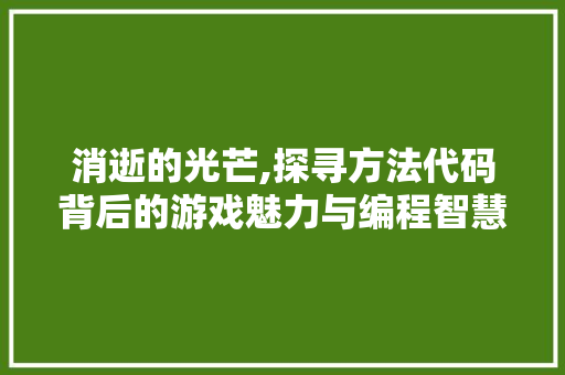 消逝的光芒,探寻方法代码背后的游戏魅力与编程智慧