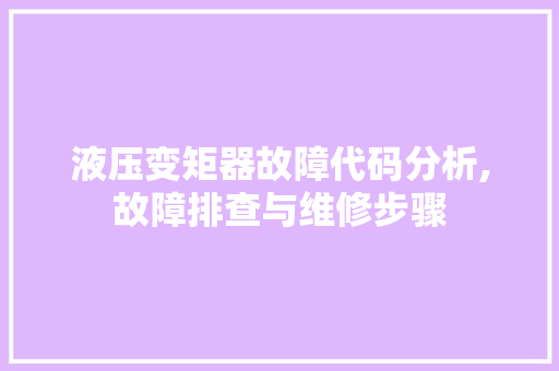 液压变矩器故障代码分析,故障排查与维修步骤