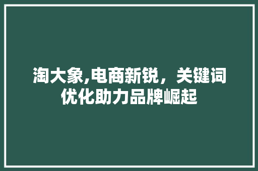 淘大象,电商新锐，关键词优化助力品牌崛起