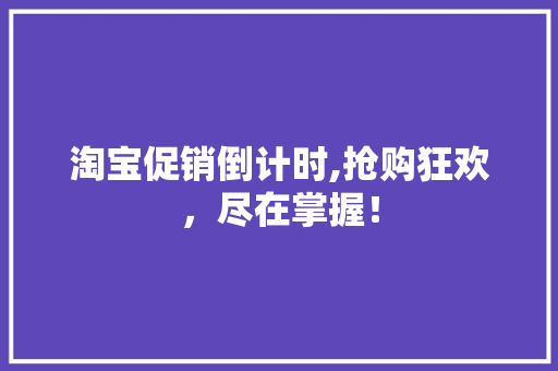 淘宝促销倒计时,抢购狂欢，尽在掌握！