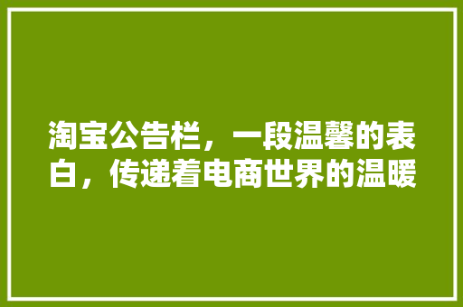 淘宝公告栏，一段温馨的表白，传递着电商世界的温暖与关怀