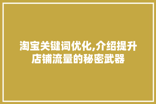 淘宝关键词优化,介绍提升店铺流量的秘密武器