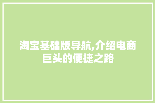 淘宝基础版导航,介绍电商巨头的便捷之路