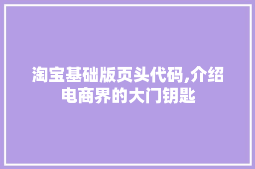 淘宝基础版页头代码,介绍电商界的大门钥匙