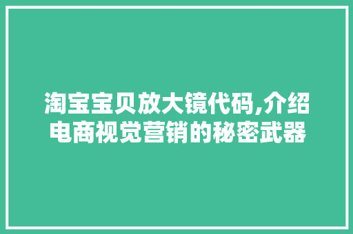 淘宝宝贝放大镜代码,介绍电商视觉营销的秘密武器