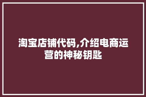 淘宝店铺代码,介绍电商运营的神秘钥匙