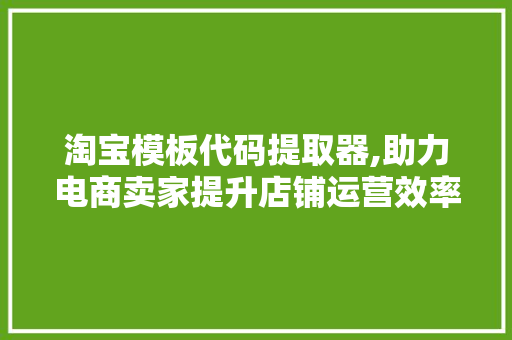 淘宝模板代码提取器,助力电商卖家提升店铺运营效率