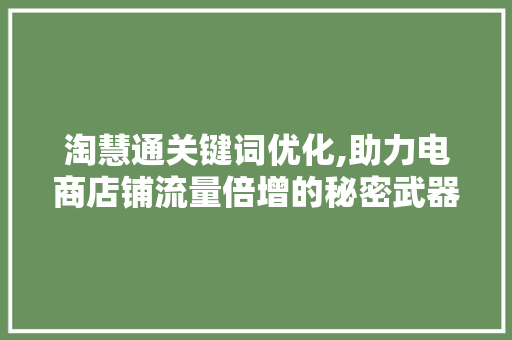 淘慧通关键词优化,助力电商店铺流量倍增的秘密武器