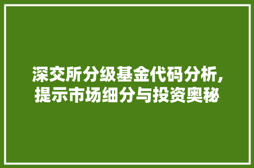 深交所分级基金代码分析,提示市场细分与投资奥秘