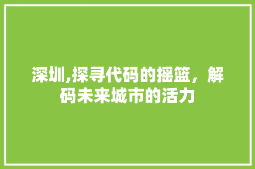 深圳,探寻代码的摇篮，解码未来城市的活力