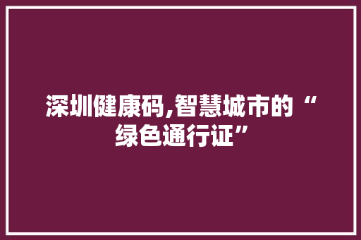 深圳健康码,智慧城市的“绿色通行证”