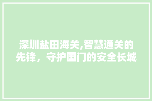 深圳盐田海关,智慧通关的先锋，守护国门的安全长城