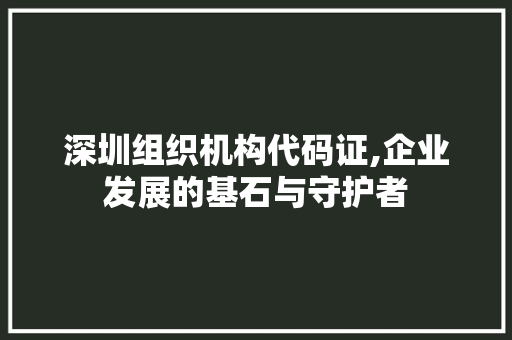 深圳组织机构代码证,企业发展的基石与守护者