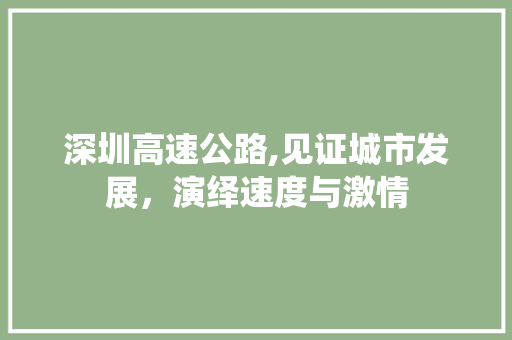 深圳高速公路,见证城市发展，演绎速度与激情