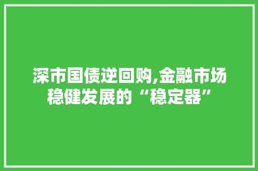 深市国债逆回购,金融市场稳健发展的“稳定器”