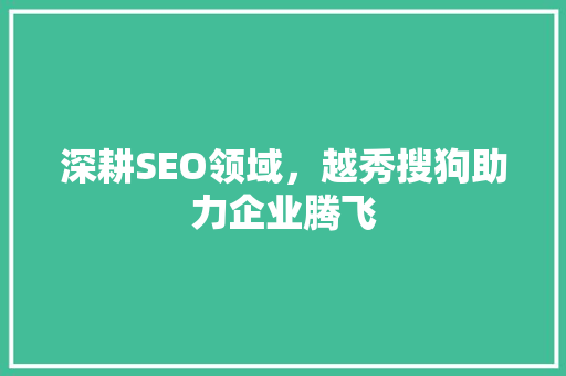 深耕SEO领域，越秀搜狗助力企业腾飞