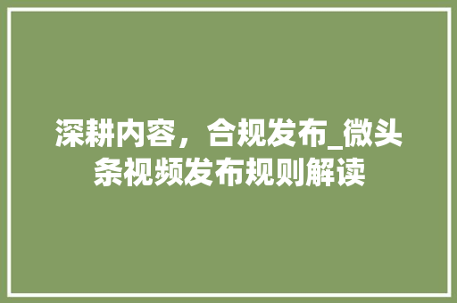 深耕内容，合规发布_微头条视频发布规则解读