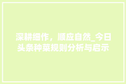 深耕细作，顺应自然_今日头条种菜规则分析与启示