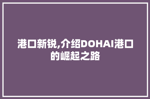 港口新锐,介绍DOHAI港口的崛起之路