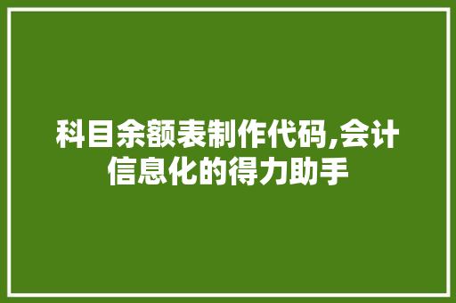 科目余额表制作代码,会计信息化的得力助手