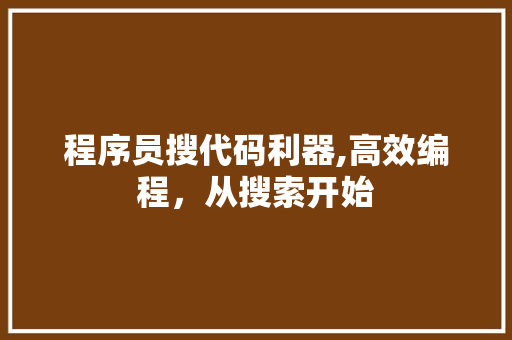 程序员搜代码利器,高效编程，从搜索开始