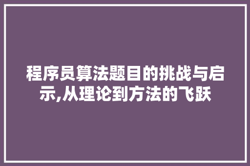 程序员算法题目的挑战与启示,从理论到方法的飞跃