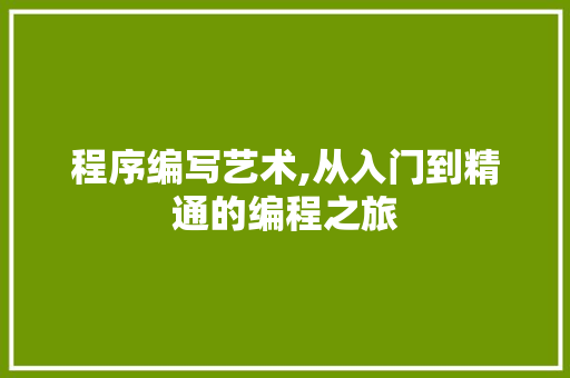 程序编写艺术,从入门到精通的编程之旅