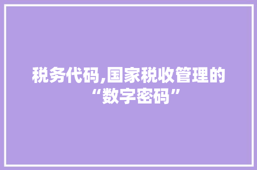 税务代码,国家税收管理的“数字密码”