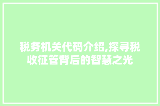 税务机关代码介绍,探寻税收征管背后的智慧之光