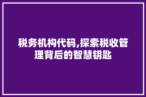 税务机构代码,探索税收管理背后的智慧钥匙