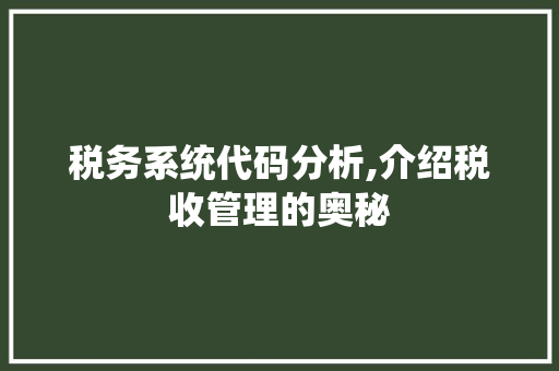 税务系统代码分析,介绍税收管理的奥秘