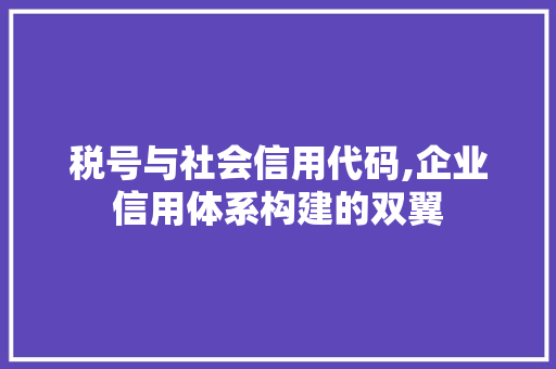 税号与社会信用代码,企业信用体系构建的双翼