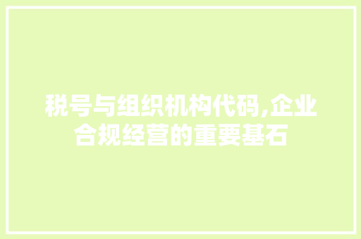 税号与组织机构代码,企业合规经营的重要基石