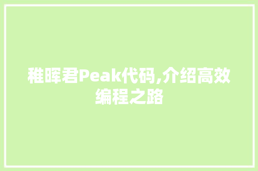 稚晖君Peak代码,介绍高效编程之路