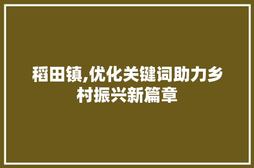 稻田镇,优化关键词助力乡村振兴新篇章