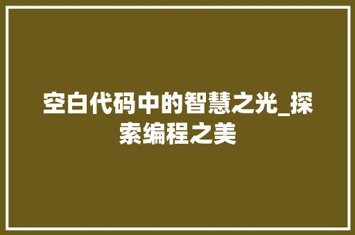 空白代码中的智慧之光_探索编程之美