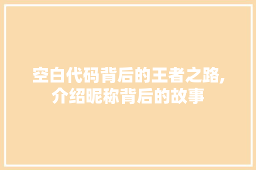 空白代码背后的王者之路,介绍昵称背后的故事